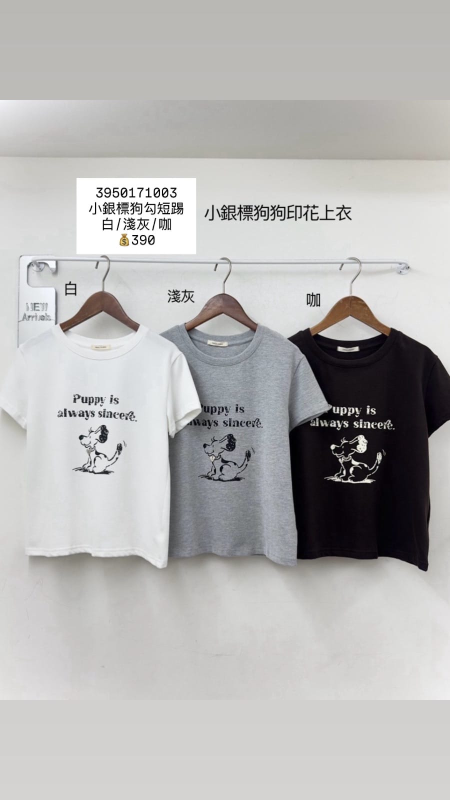 小銀標狗狗短踢