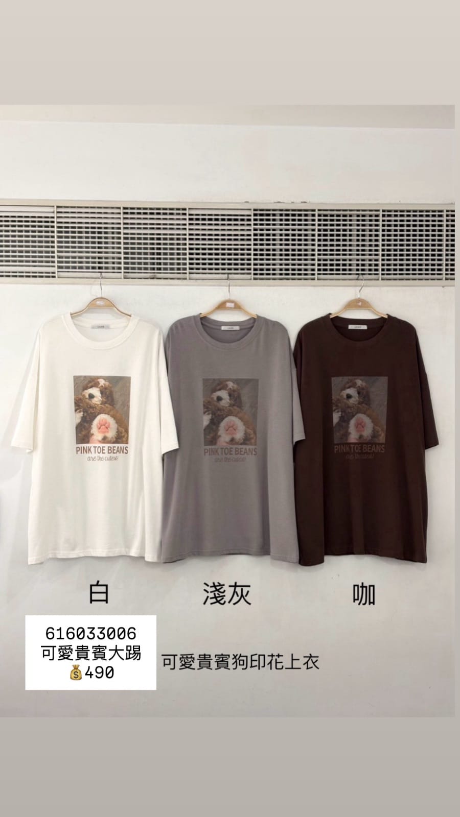 可愛貴賓大踢